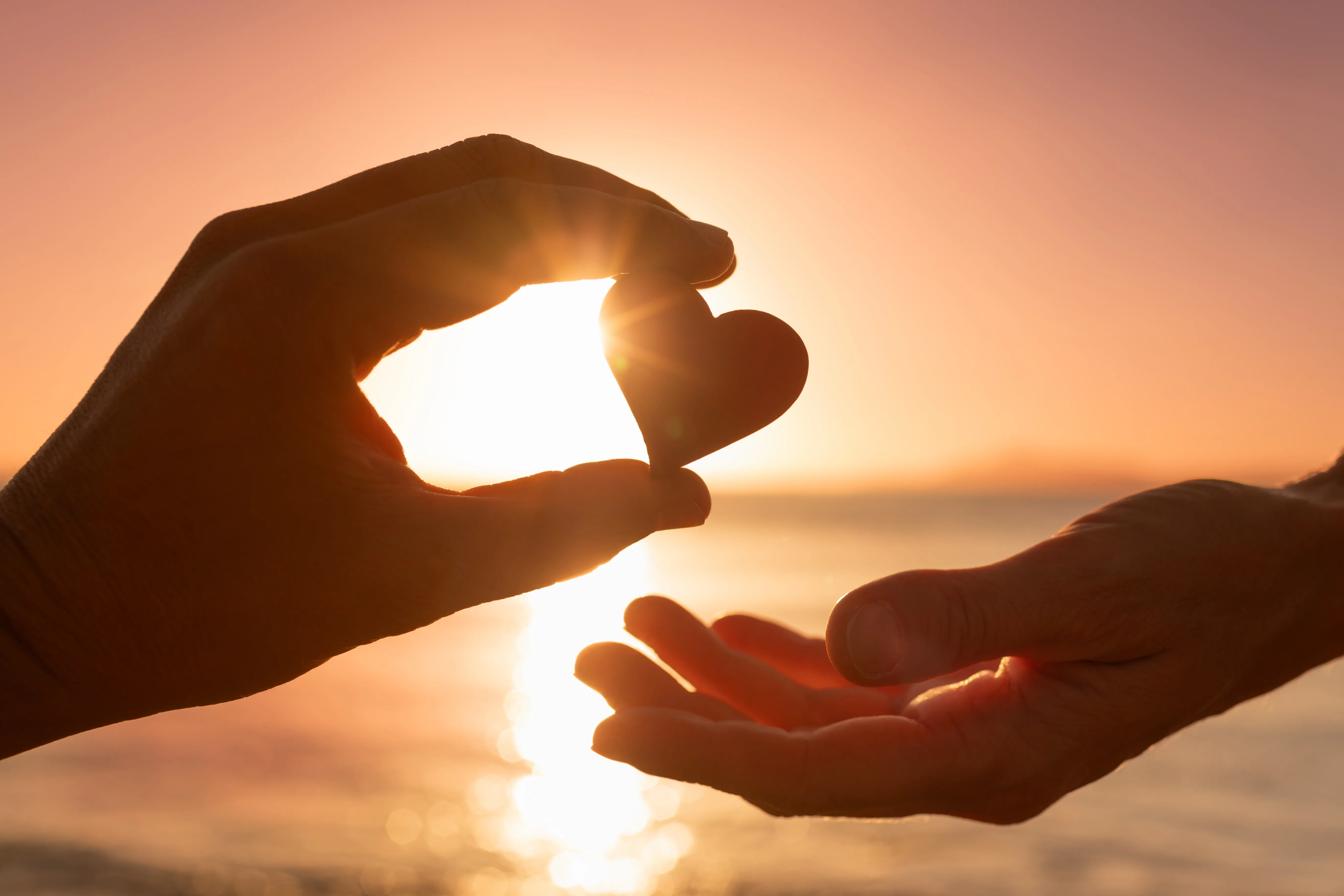 Mindron Foundation Social Impact